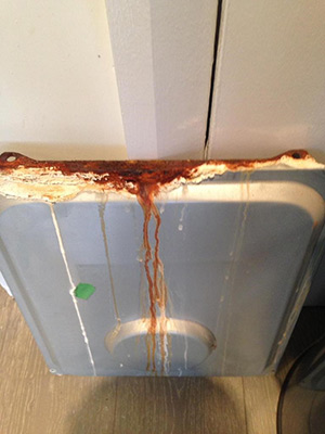 Boiler Service